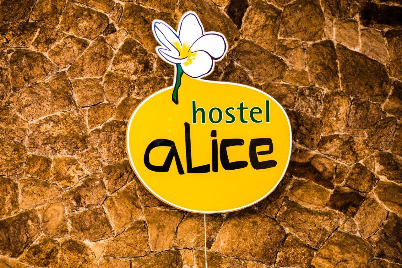Hostel Alice E Padoca Vegan Сао Паоло Екстериор снимка